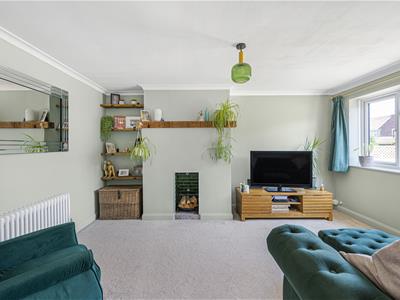 Picture 37